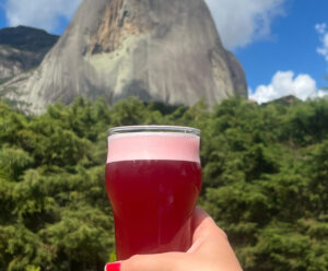 Lançamentos mais recentes apostam em inovação e sabores autênticos