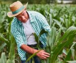 ES lidera crescimento na aplicação de crédito rural do país