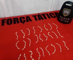 Adolescente é apreendida por tráfico de drogas em Mimoso do Sul Drogas em Mimoso