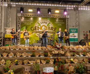 Expo Gengibre: feira gratuita celebra produção da agricultura familiar