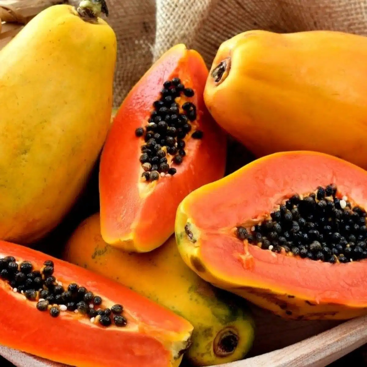 Foto: Shutterstock Foto: Shutterstock