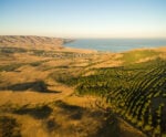 Do campo ao oceano: a tecnologia a favor da sustentabilidade