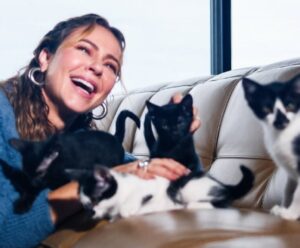 Paolla Oliveira adota 11 gatos e 7 cachorros: ‘Quem mais ganhou fui”