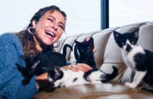 Paolla Oliveira adota 11 gatos e 7 cachorros: ‘Quem mais ganhou fui”