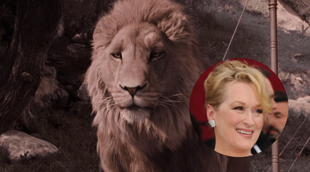 Foto: Montagem Foto: Montagem