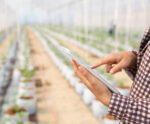 Do laboratório ao campo: as tecnologias do agronegócio sustentável