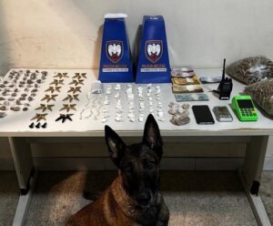 Guarapari: Polícia Militar apreende drogas, armas e recupera veículos