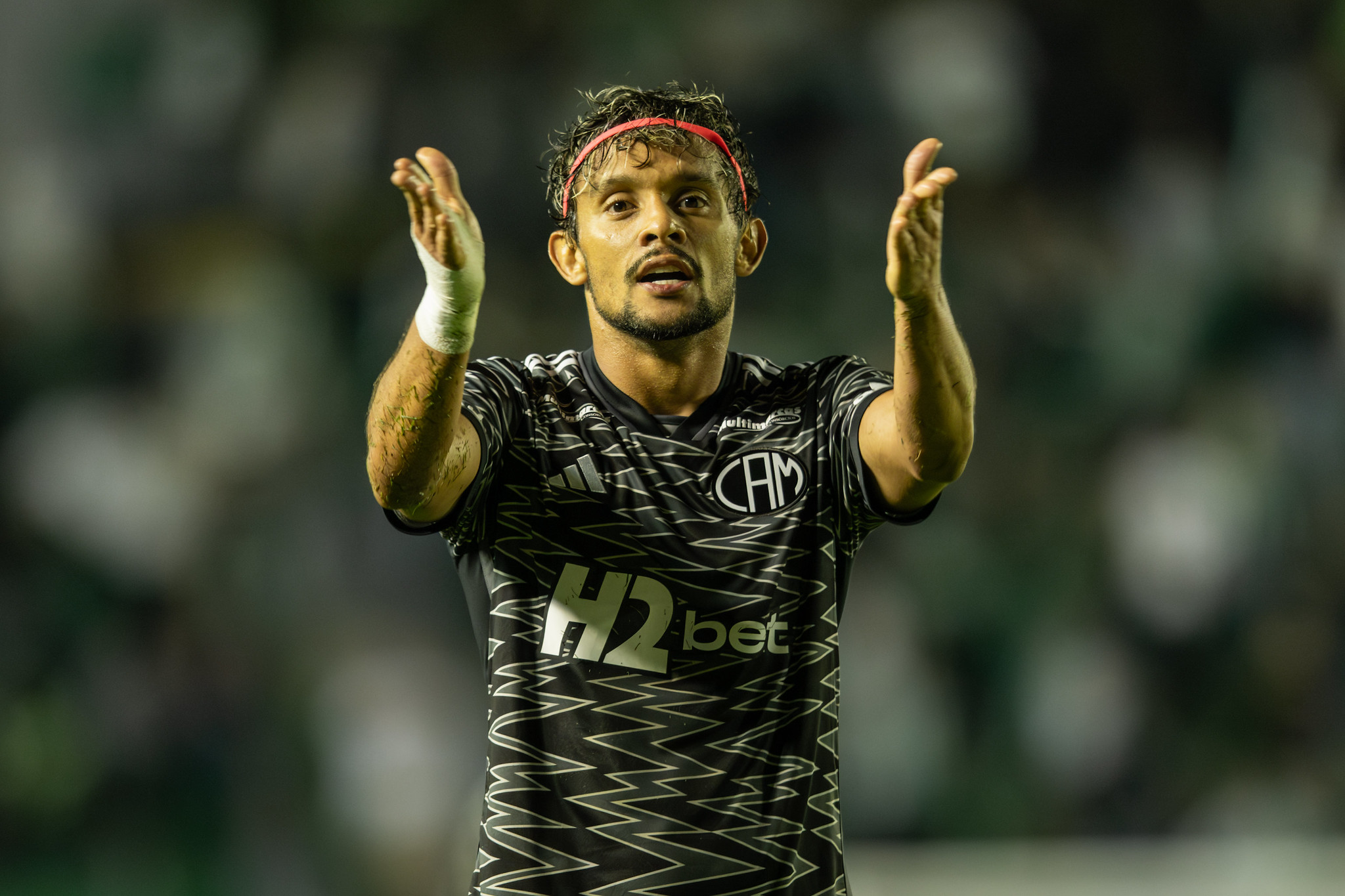 Foto: Pedro Souza/Galo Foto: Pedro Souza/Galo