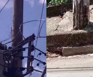 Cachoeiro: moradores expõem preocupação com enxame de abelhas no Zumbi