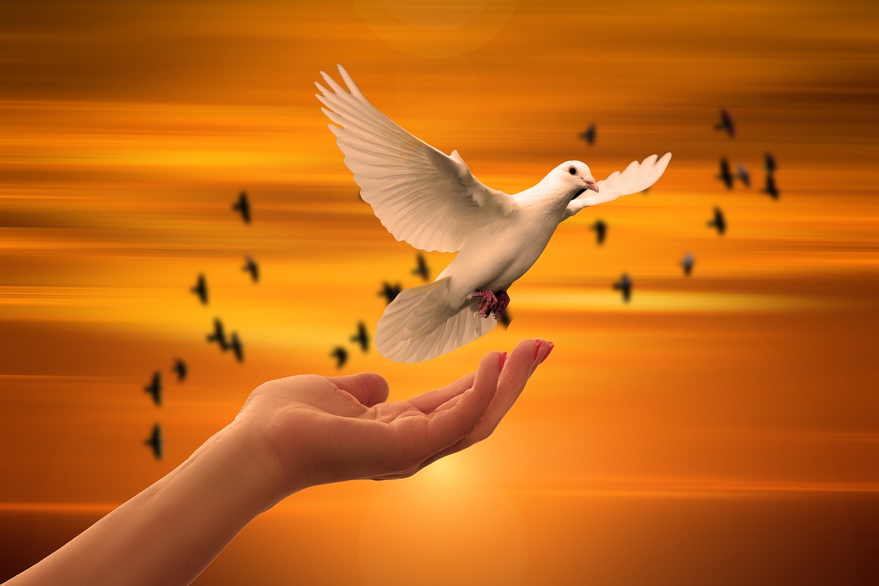 Foto: Pixabay Foto: Pixabay