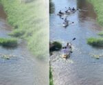 “Descida Ecológica” promove limpeza de rio no Sul do ES