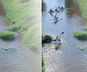 “Descida Ecológica” promove limpeza de rio no Sul do ES