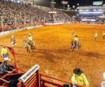 Prepare-se! Cachoeiro vai receber a etapa FECAR da WP Rodeio Show