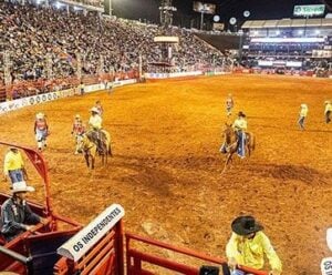 Prepare-se! Cachoeiro vai receber a etapa FECAR da WP Rodeio Show