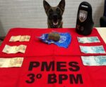 PM apreende maconha e dinheiro com apoio de cão farejador em Alegre