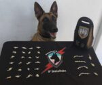 Polícia Militar apreende pedras de crack em Guaçuí com apoio da Alga