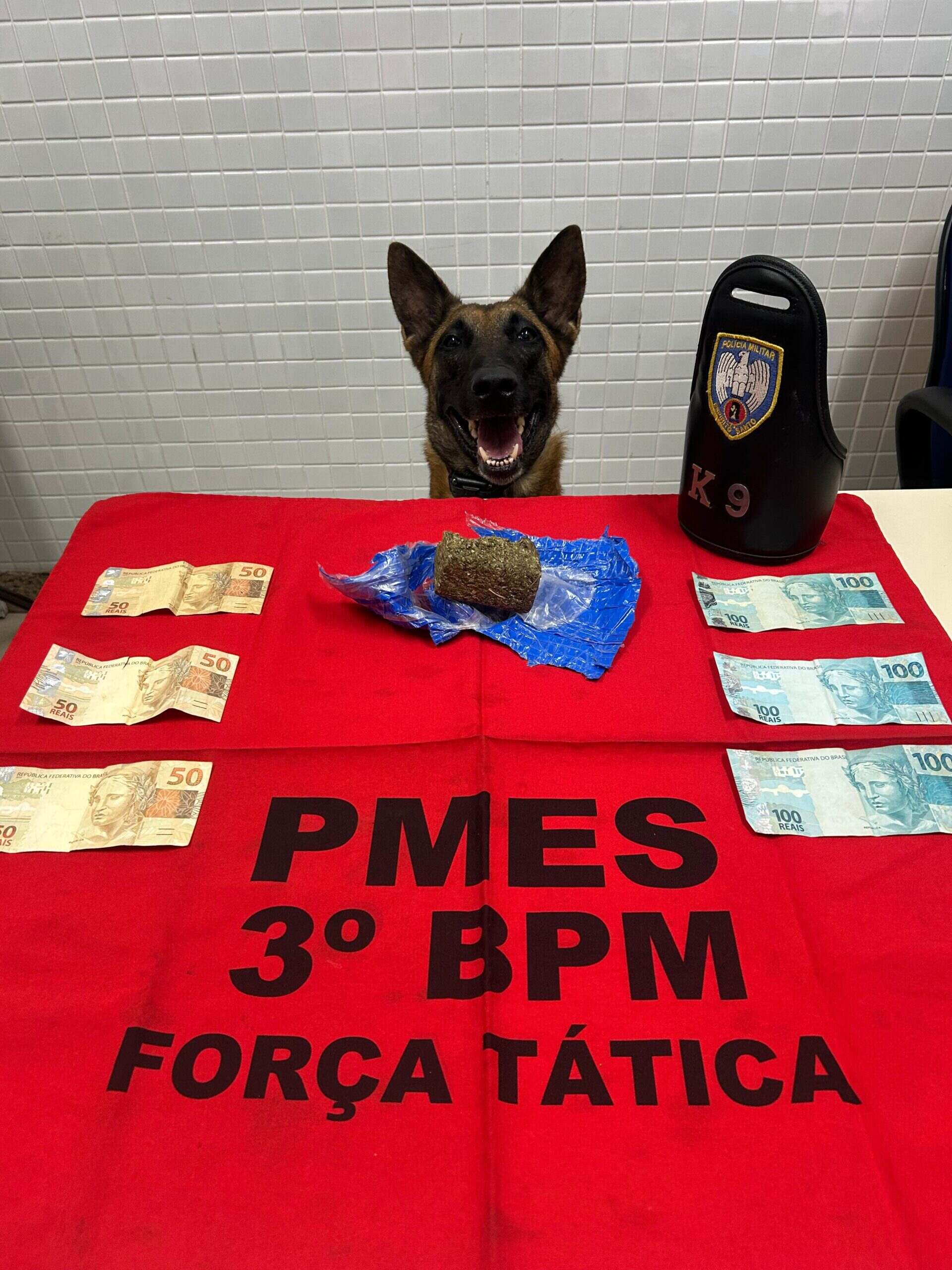 Foto: Divulgação Foto: Divulgação