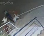 VÍDEO | Loja é alvo de vandalismo e assalto no Centro de Cachoeiro