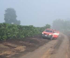 Criança de 3 anos foge de casa e passa noite em área de mata no ES
