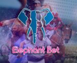 ElephantBet atrai jogadores da América Latina | Análise da casa de apostas