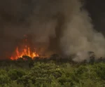 Câmara aprova aumento de pena para crimes de incêndio em florestas