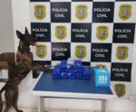 Polícia Civil apreende dez quilos de maconha em pacote dos Correios