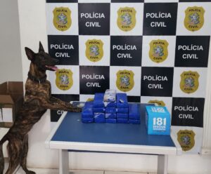 Polícia Civil apreende dez quilos de maconha em pacote dos Correios policia civil