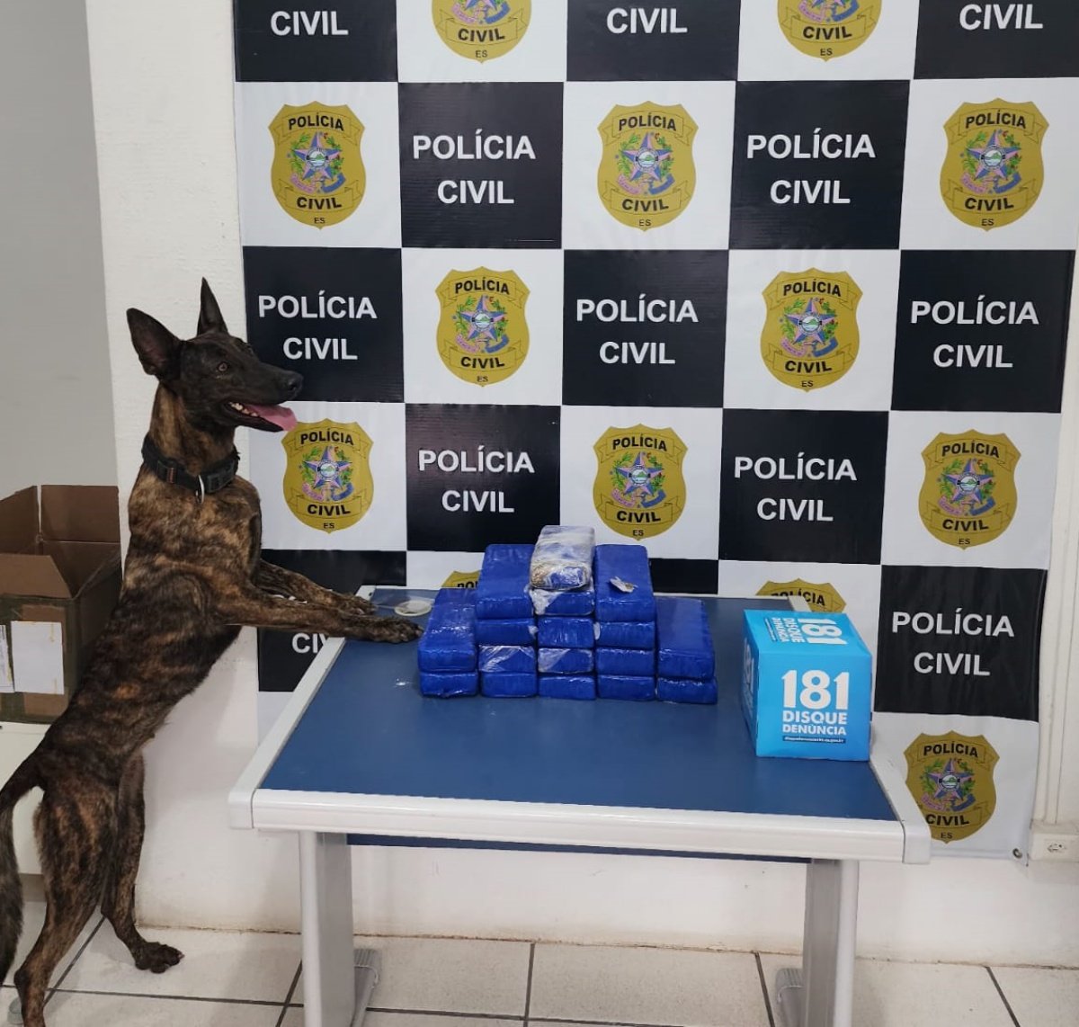 policia civil