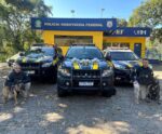 PRF intercepta haxixe e skunk em Guarapari e Serra