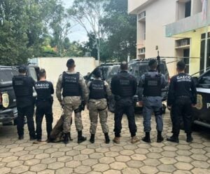 Rio Bananal: MP do ES faz operação contra organização criminosa rio bananal