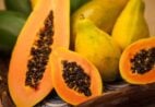 Exportadores de mamão tentam “dividir” tarifa com compradores dos EUA