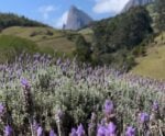 O Espírito Santo esconde refúgios incríveis para curtir o fim do inverno