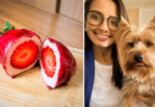 Morango do amor para pets? Conheça essa novidade em Cachoeiro