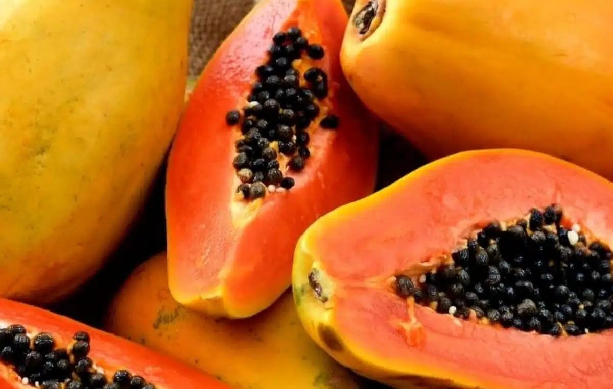 Foto: Shutterstock Foto: Shutterstock