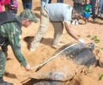 Espécie rara de tartaruga é encontrada na areia do litoral capixaba