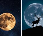 Atenção! “Lua cheia do veado” aparece nesta quinta-feira no Brasil