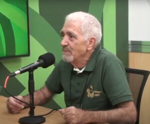 Muito além do mel: sem abelhas, os seres humanos não existiriam