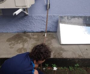 Escola do ES usa água do ar-condicionado para irrigar plantas escola do es