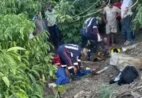 VÍDEO | Pai e filho morrem em grave acidente após desviar de animal na pista em Castelo