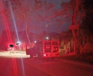 Jovem morre após colidir com vaca em Jerônimo Monteiro