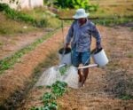 Cachoeiro celebra Dia do Agricultor com palestras e encontro
