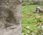 VÍDEO | Detonação em pedreira assusta moradores em Cachoeiro