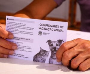Sábado tem vacinação antirrábica nos distritos de Cachoeiro
