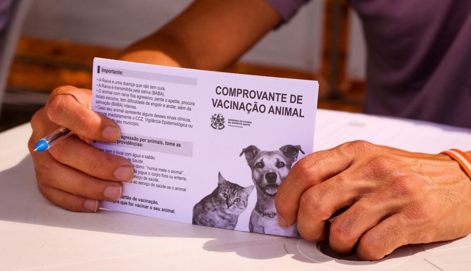 Foto: Divulgação Foto: Divulgação