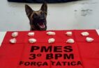 Equipe K9 e Força Tática apreendem drogas durante ação em Guaçuí