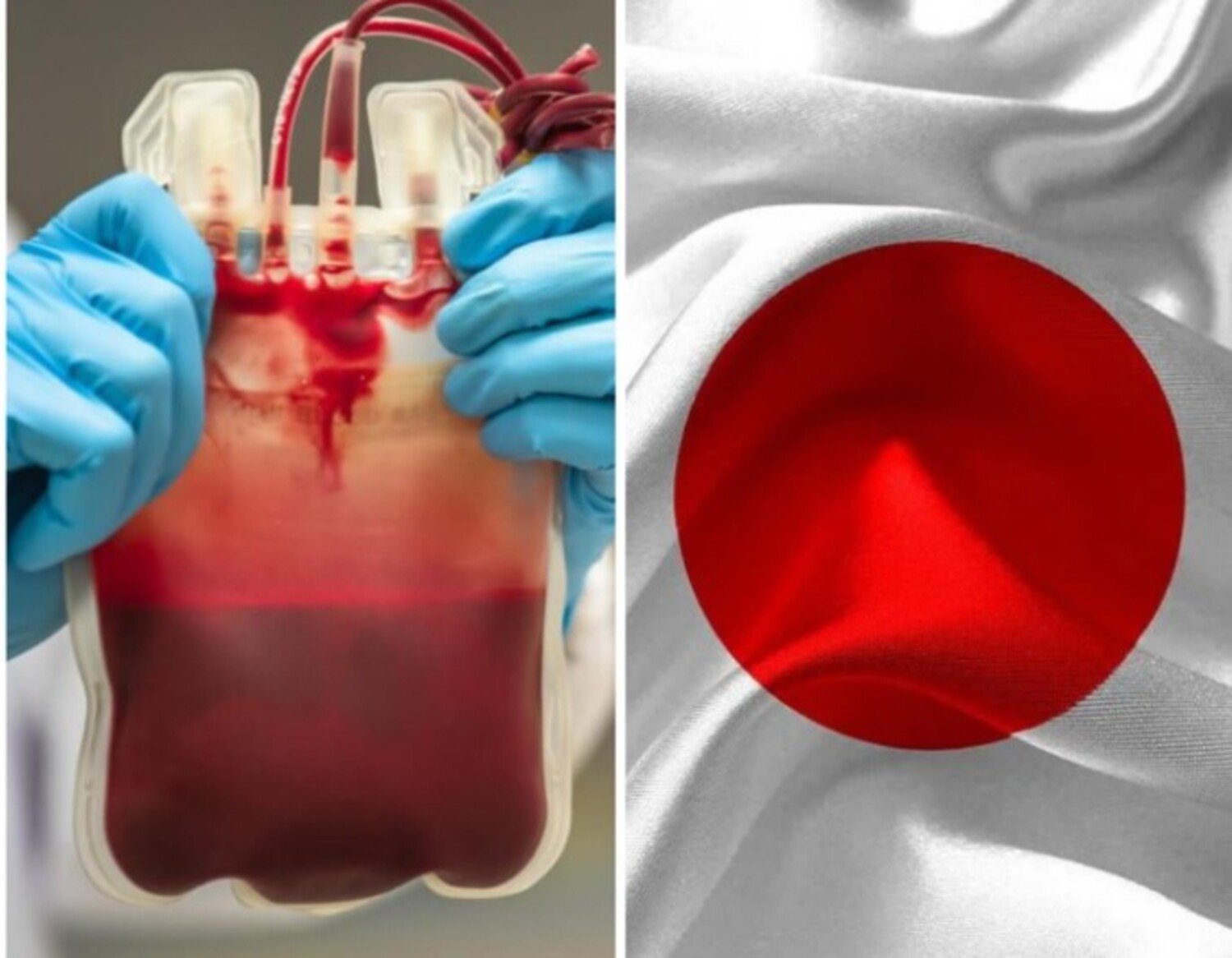 A foto mostra sangue artificial criado pelo Japão que atenderá a todos as demandas