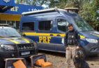 PRF prende passageiro transportando 52 kg de drogas em Guarapari