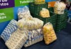 Cachoeiro: Fenaci arrecada mais de 500 kg para Banco de Alimentos