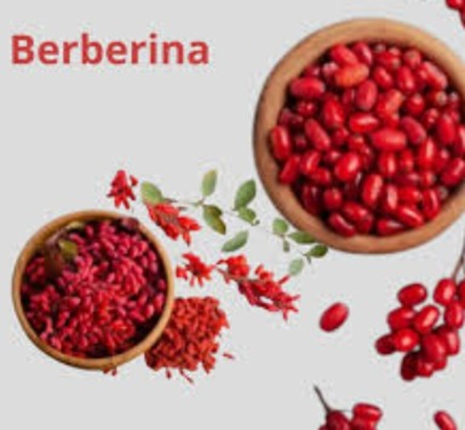 A foto mostra berberina, suplemento natural em estudo para combater glicose e peso