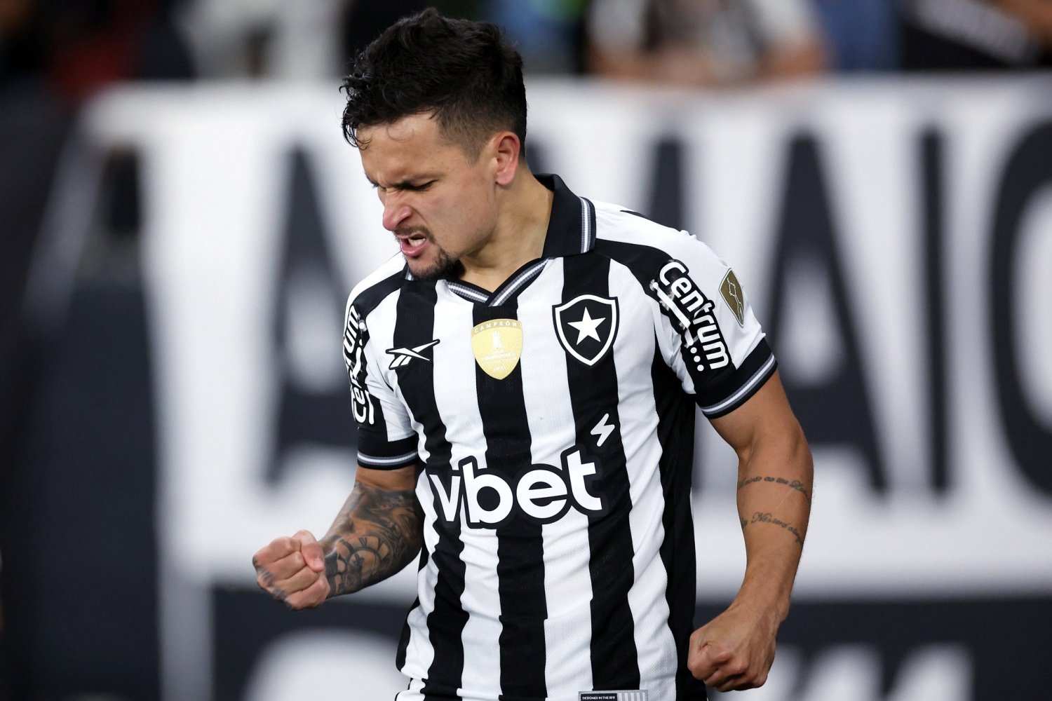 botafogo x palmeiras vitor silva